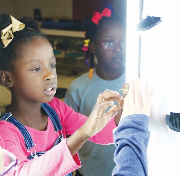 StrongHuttig, county schools growing curriculum with tower gardens