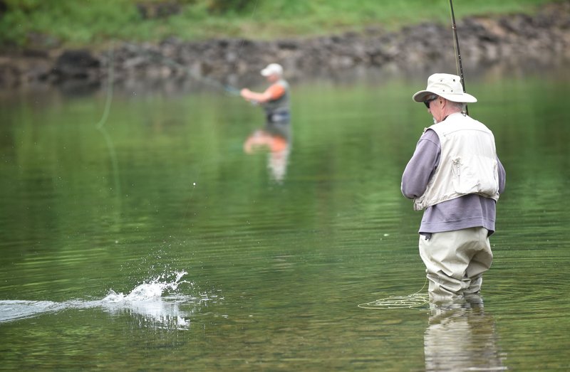 State fishing report Northwest Arkansas DemocratGazette
