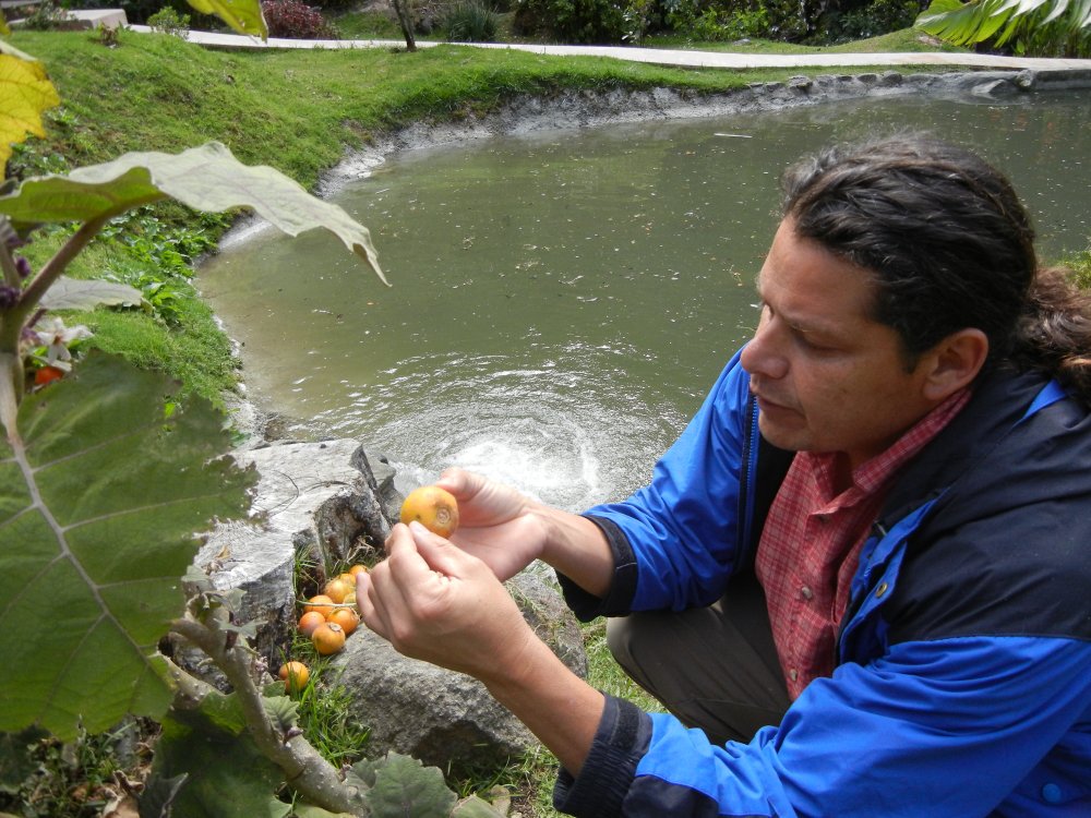 Costa Rica in February