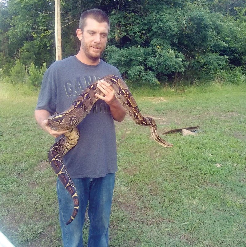 Clint Frye of Van Buren County holds his pet boa constrictor, Red, who slithered away in July while soaking in the sun in Frye’s backyard. Frye still hasn’t found the snake, which he estimates to be 10 feet long. A spokesman for the Arkansas Game and Fish Commission asks anyone who sees the boa constrictor to call (800) 482-9262.