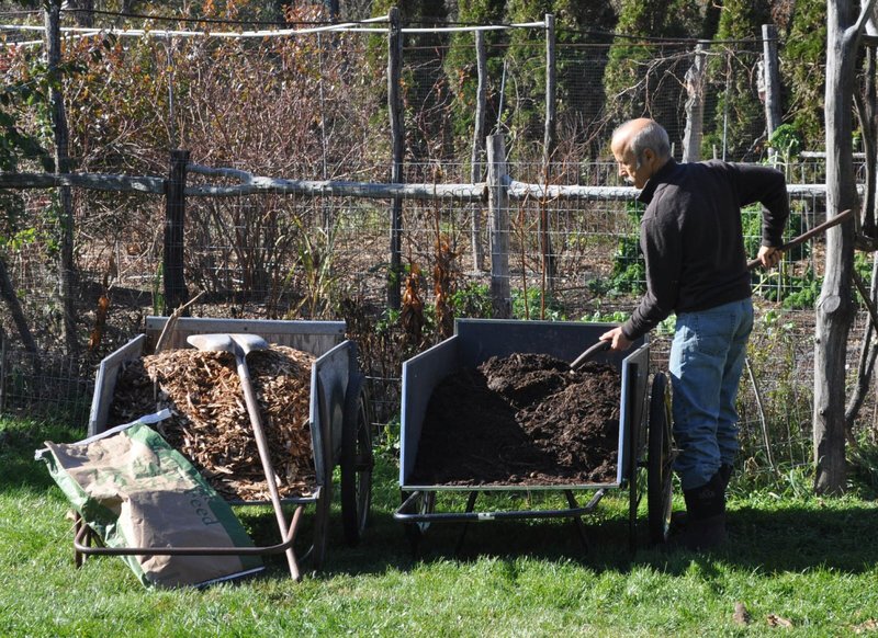 AP/LEE REICH Compost and wood chips are among the many organic mulches that provide multiple benefits to plants and the soil when spread on top of the ground.