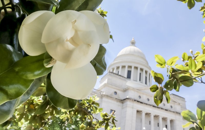 The Arkansas state capitol building stands against a blue sky with a partially unfurled Magnolia blossom in the foreground.