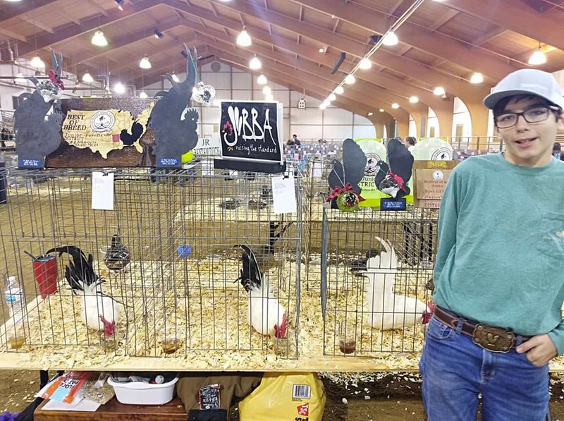 Caleb Ezernack, a seventh-grader at Taylor Middle School, recently won a variety of ribbons at the Nov. 1 Heart of the Ozarks Poultry Show in Fayetteville.