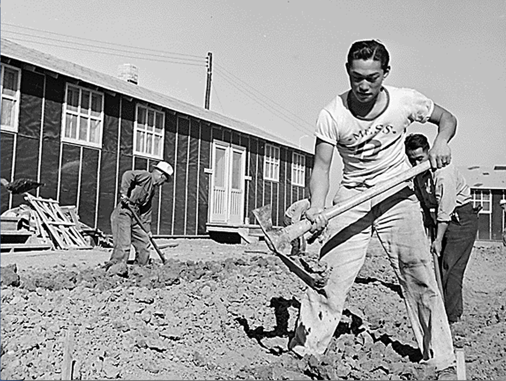 Japanese American men dig a drainage ditch near the barracks at Rohwer Relocation Camp in 1942. (AP)