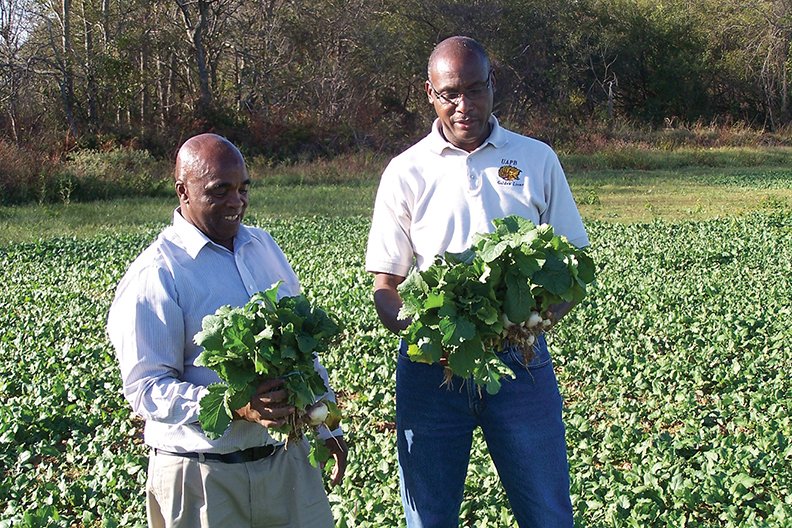 Earl Lee Armstrong, left, discusses turnip greens with Henry English, head of the Small Farm Program at the University of Arkansas at Pine Bluff. Photo courtesy of the University of Arkansas System Division of Agriculture. - Submitted photo