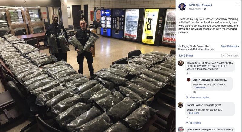 In this undated photo taken from the New York Police Department Facebook page, officers stand by what NYPD thought was marijuana when they confiscated in the Brooklyn borough of New York on Saturday, Nov. 2, 2019, at the 75th Precinct of the NYPD in New York. The Vermont farm that grew the plants and the Brooklyn CBD shop that ordered them insist they're not pot, but legal industrial hemp. (New York Police Department via AP) story.lead_photo.caption
