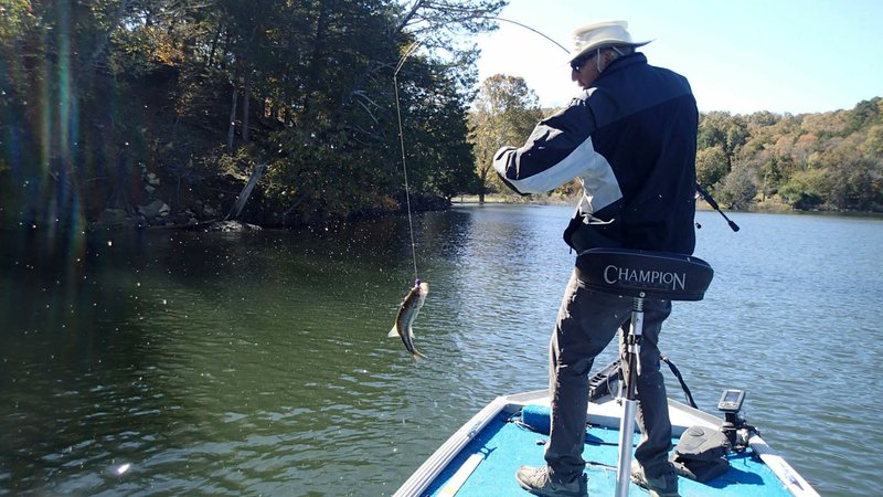 NWA fishing report  The Arkansas Democrat-Gazette - Arkansas