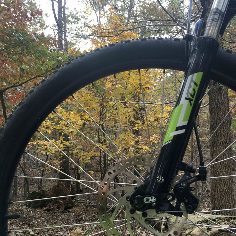 NWA Democrat-Gazette/FLIP PUTTHOFF 
The Wolf Den Loop of the Monument Trail at Hobbs State Park-Conservation Area, seen here Oct. 28 2019, provides a scenic 4-mile mountain bike ride or hike suitable for all skill levels.