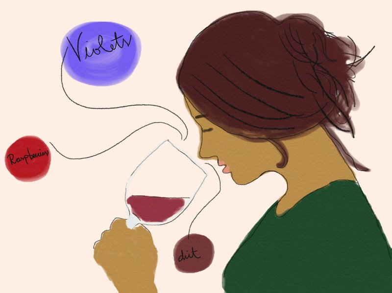 Let your nose lead the way when deciphering a wine's tasting notes. Illustration by Kelly Brant
