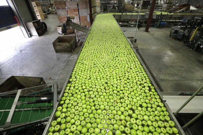 In this Oct. 15, 2019, file Granny Smith apples are floated toward sorters to ready them for shipping in a packing plant in Yakima, Wash. (AP Photo/Elaine Thompson, File)