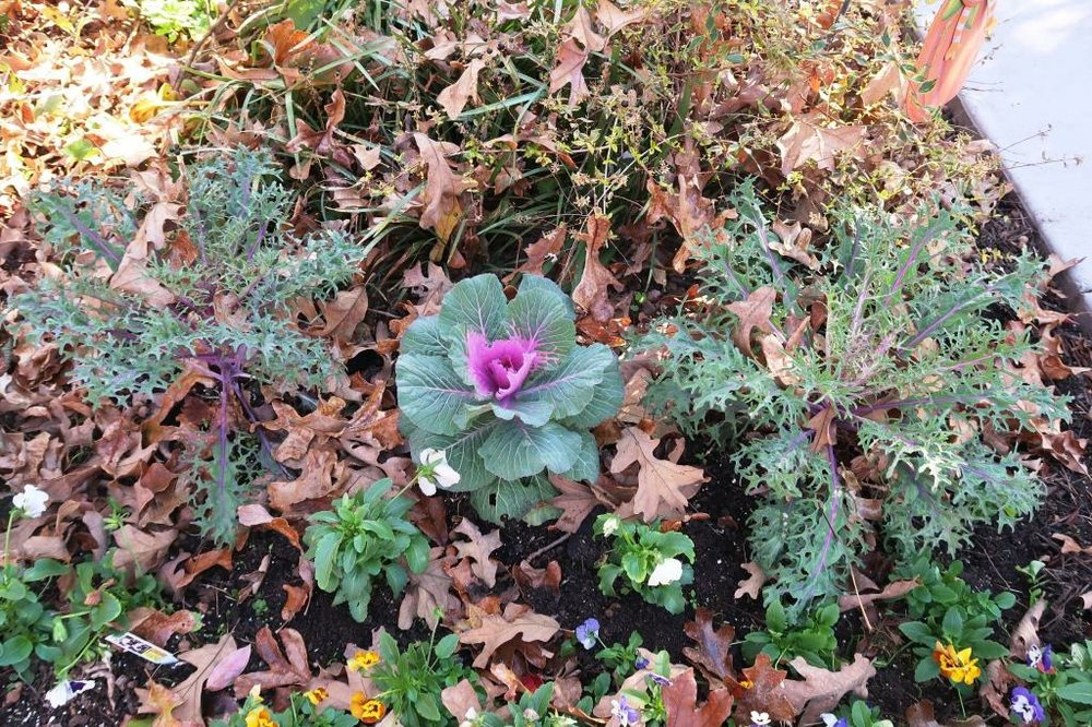 Early Cold Weather Took Its Toll