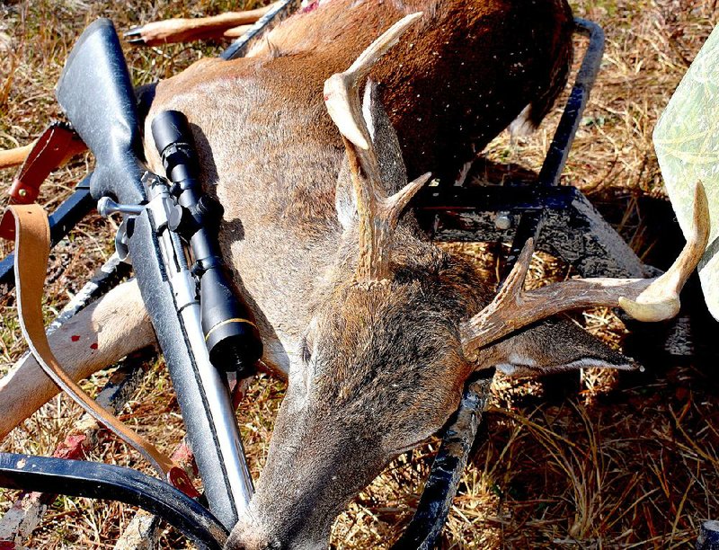 The author killed this 6-point buck Tuesday in the most extraordinary of circumstances. 