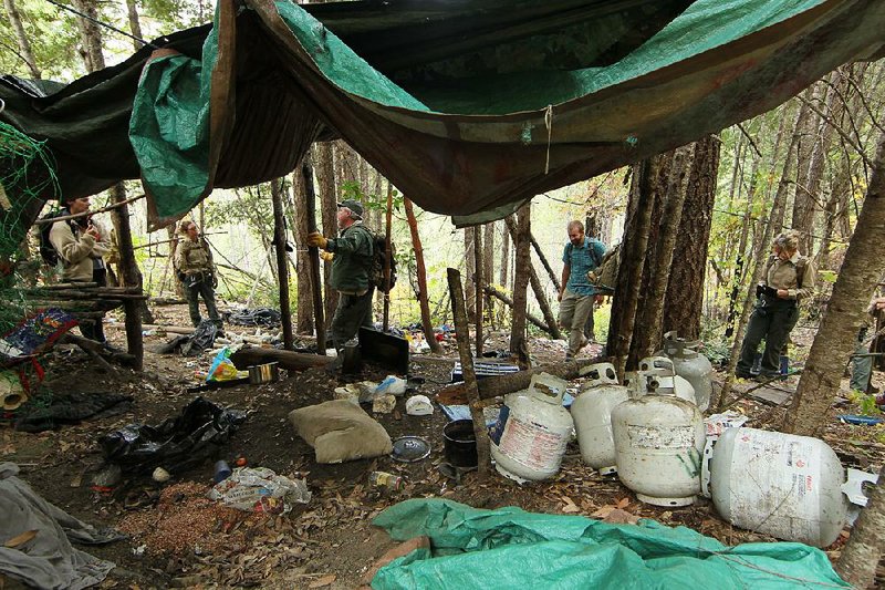 In this October photo provided by the Cannabis Removal on Public Lands Project, U.S. Forest Service rangers, law enforcement officers, scientists and conservationists investigate a so-called trespass grow in the Shasta-Trinity National Forest in California. 