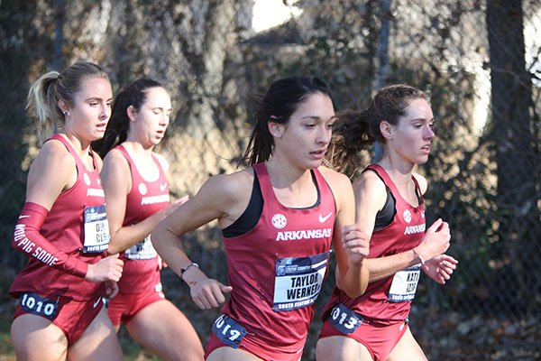 Arkansas runners Taylor Werner (front left), Katie Izzo (front right), Devin Clark (back left) and Carina Viljoen (back right) are shown during the NCAA South Regional cross country meet on Friday, Nov. 15, 2019, in Fayetteville. 