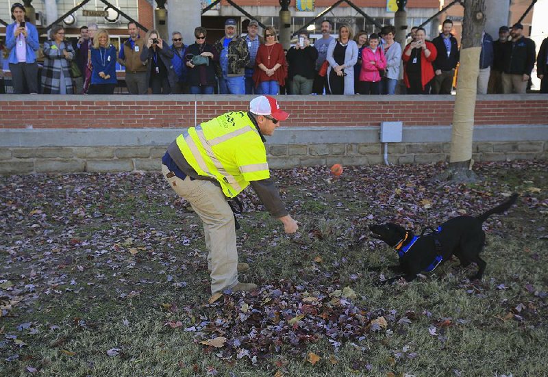 Handler Stephen Sullivan tosses a ball to Vessel, Central Arkansas Water’s new water-leak detection dog, on Tuesday after Vessel found a water sample during a demonstration. Video is available at arkansasonline.com/1120dog