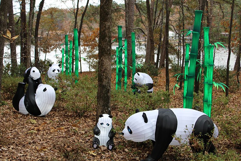 Step Inside Garvan Woodland Gardens Holiday Lights Extravaganza