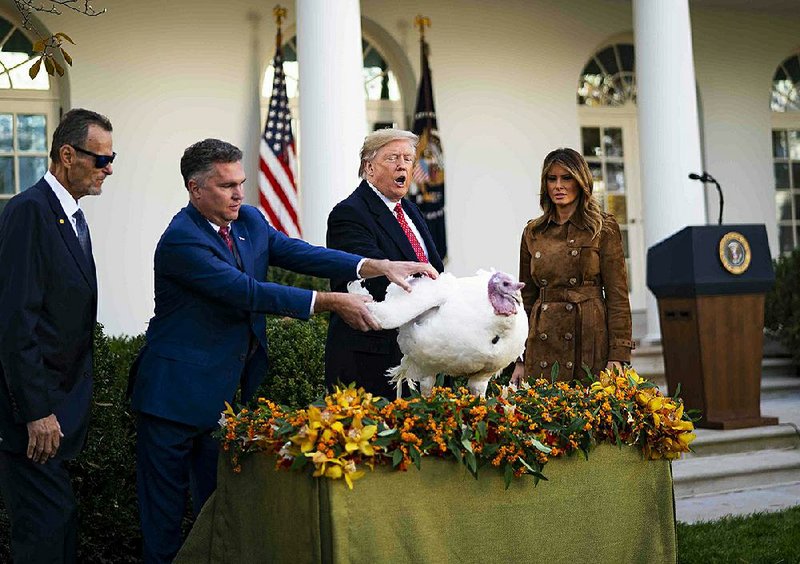 President Donald Trump, with his wife, Melania, issues a ceremonial pardon for Butter the turkey Tuesday in the White House Rose Garden. Trump joked that the two turkeys he pardoned had already been subpoenaed “to appear in Adam Schiff’s basement on Thursday.” More photos at arkansasonline.com/1127turkey/ 