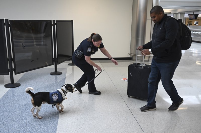 Phillip, a beagle, sniffs incoming passenger's luggage with his handler, Valerie Woo, a Customs and Border Patrol Agriculture Specialist and Canine Handler, at the international arrivals terminal at Dulles International Airport. Washington Post photo by Michael Robinson Chavez