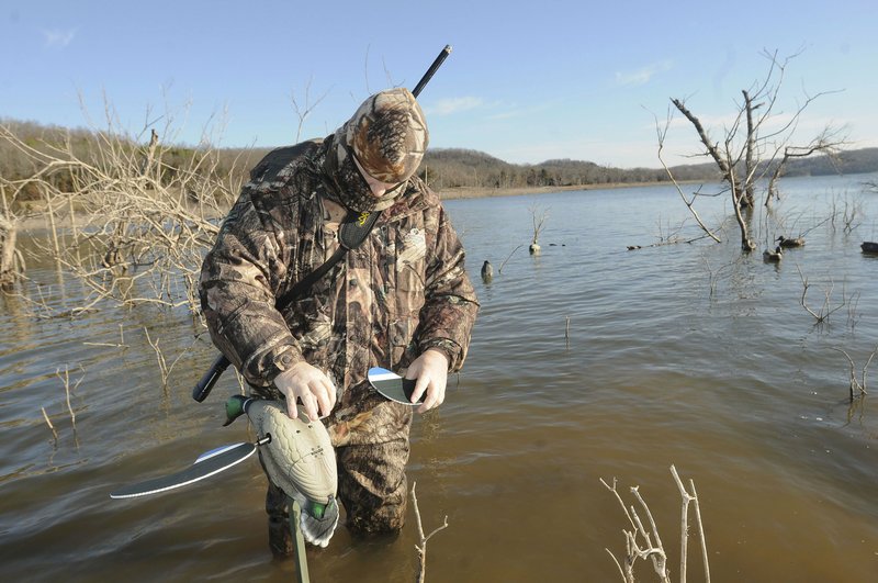 File photo -- Alan Bland wears chest waders while laying out decoys during a Beaver Lake duck hunt in 2012.