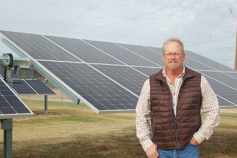 Don Kittler Jr. stands Thursday next to one of the solar panels that fill a 20-acre solar farm on U.S. 70 in Lonoke. Electricity from the facility will be used to help power farm operations.