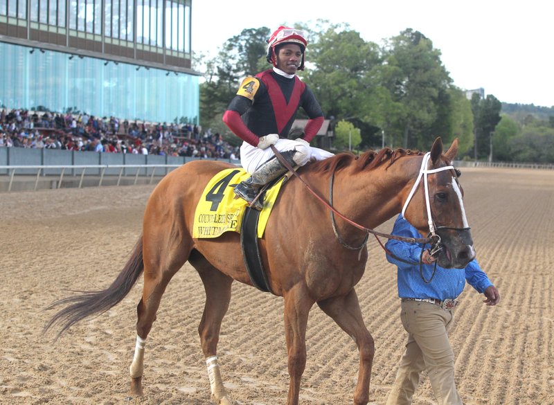 Jockey Ricardo Santana Jr. and Whitmore head into the winner's circle after winning the Count Fleet Stakes on April 14, 2018. Whitmore will be running in Saturday's Grade 1 Cigar Mile at Aqueduct. - File photo by Richard Rasmussen of The Sentinel-Record