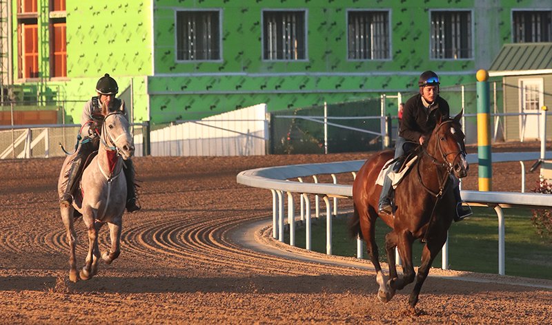 Oaklawn Racing Casino Resort’s new construction stands in the background Wednesday as exercise riders gallop horses around the track in preparation for the 2020 live race meet scheduled to begin Jan. 24. - Photo by Richard Rasmussen of The Sentinel-Record
