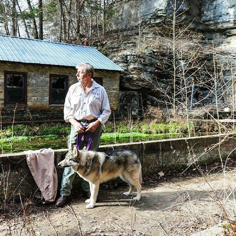 Bud Pelsor stands with Dia, his pet wolf, in an undated photograph. Pelsor and a partner are trying to sell the Dogpatch property north of Jasper for $1.25 million, but so far they’ve been unsuccessful. With foreclosure imminent, Pelsor says he’s leaving Arkansas. 