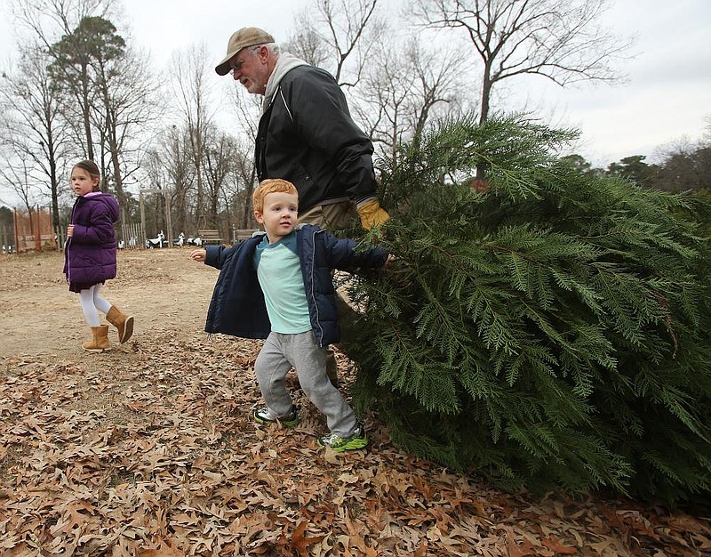 Arkansas Democrat-Gazette/THOMAS METTHE -- 12/8/2019 --
Christmas Tree hunting on Sunday, Dec. 8, 2019, at Motley's Tree Farm in Little Rock. 
