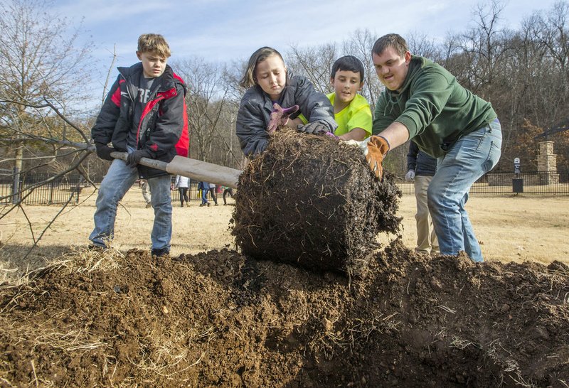 NWA Democrat-Gazette/BEN GOFF &#8226; @NWABENGOFF Isaac McArthur (from left), 11, from Old High Middle School, Landon Peters, 11, from Barker Middle School, Elijah Taylor, 11, from Creekside Middle School and Jon Wilson with Bentonville Parks and Recreation roll a tree into place Friday at Bentonville's Bark Park. A group of fifth-graders from Bentonville's gifted and talented program helped plant 20 trees for shade at the dog park. Go to nwaonline.com/photos to see more photos.