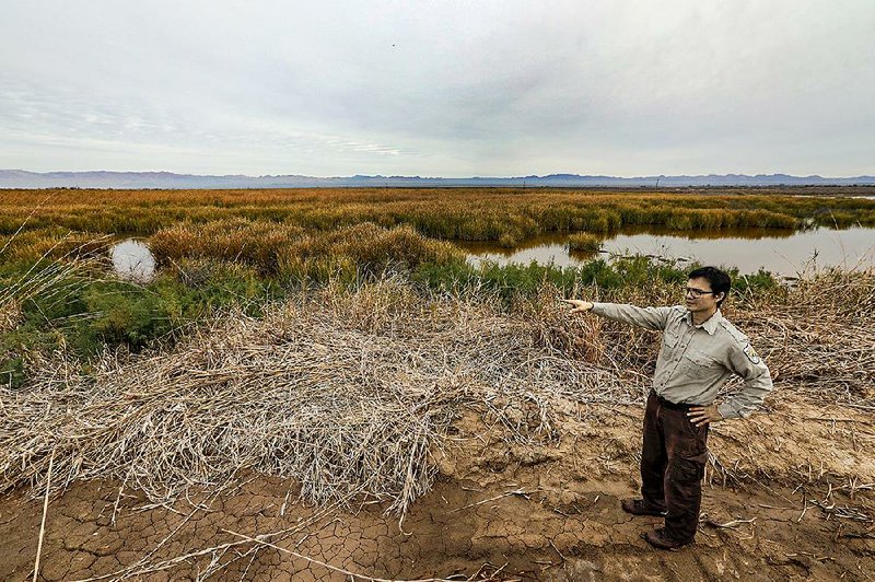 Tom Anderson, U.S. Fish and Wildlife Service biologist, surveys acres of exposed lake bed on California’s Salton Sea. The water level has dropped 7 feet over the past 15 years at the Salton Sea. 