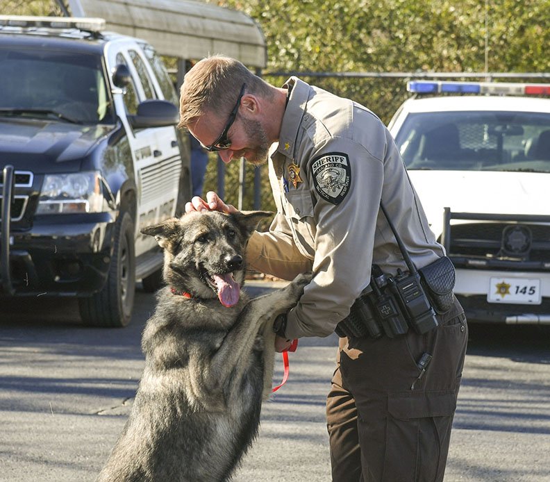 Garland County Under Sheriff Jason Lawrence plays with a German shepherd up for adoption Wednesday at Hot Springs Animal Services. - Photo by Grace Brown of The Sentinel-Record