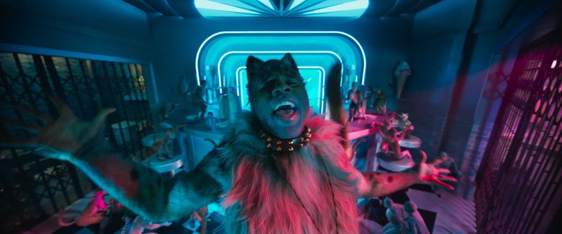 The very curious Rum Tum Tugger (R&B singer Jason Derulo) in Tom Hooper’s heavily CGI-ed film version of Andrew Lloyd Webber’s musical Cats.