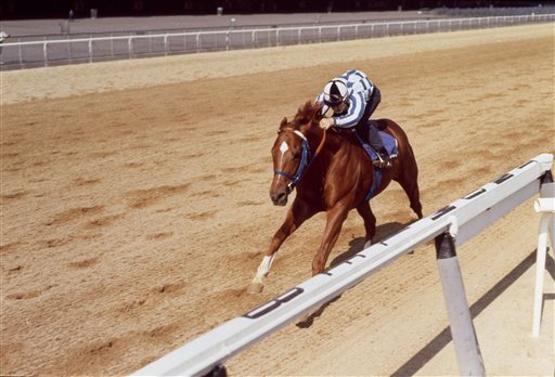 Ron Turcotte rides Secretariat on a June 8, 1973, practice run for the Belmont Stakes in Elmont, N.Y. - Photo by The Associated Press