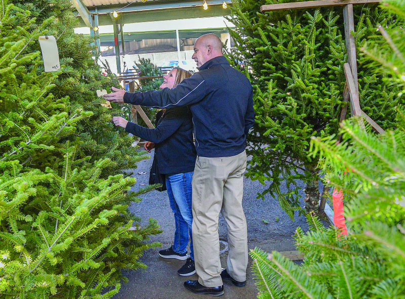 Recycle live Christmas trees, build aquatic habitats El Dorado News