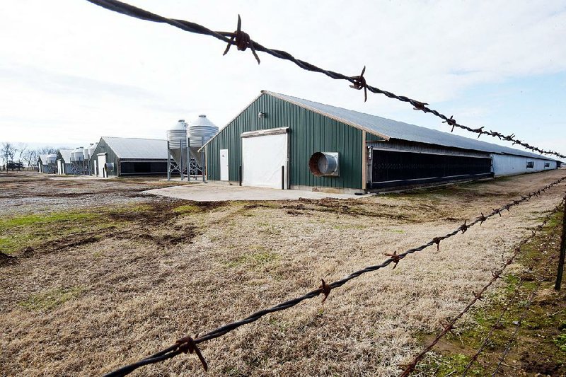 Poultry houses are shown on a farm this month in west Benton County. State assessment officials have increased recommended appraisals for chicken houses by $4.50 a square foot, upsetting growers and some lawmakers.
(NWA Democrat-Gazette/Flip Putthoff)