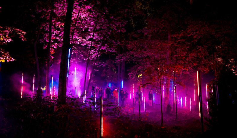 Photo courtesy: Moment Factory Near the end of October, Crystal Bridges Museum debuted the North Forest Lights -- an activation of five distinct artistic light and sound installations designed specifically for the forest space. The ethereal project was innovative for the museum and for collaborating partner Moment Factory, who were participating in their first ever outdoor art exhibit.