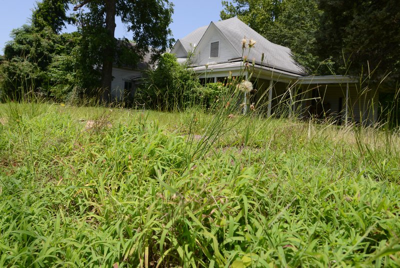 new-laws-city-s-revised-overgrown-yard-law-takes-effect-feds-raise