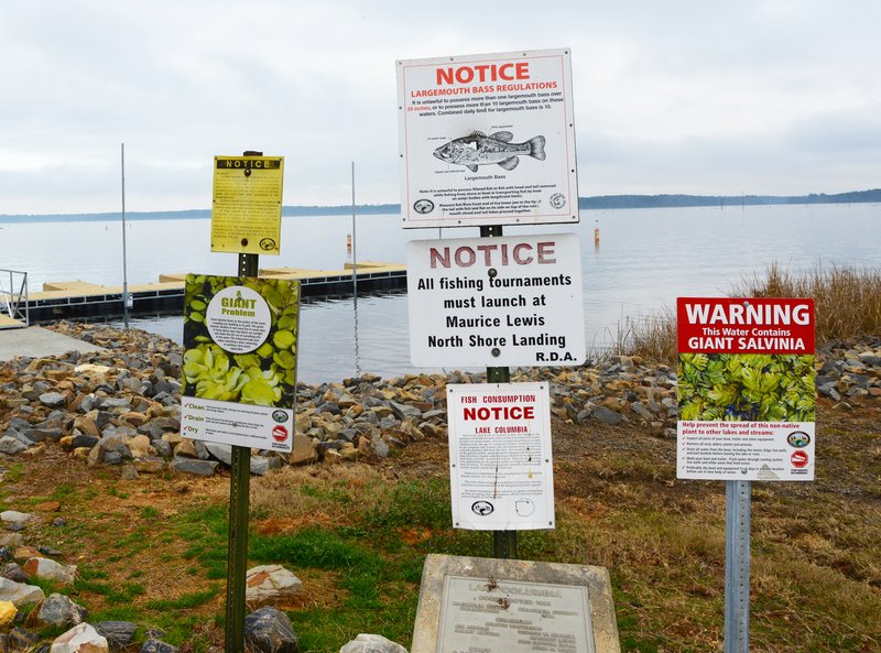 Prevention notices and information signs sit a Lake Columbia’s South Shore Landing warning of the dangers of Giant Salvinia. The plant was confirmed to be found in the Magnolia water source lake this week after it was first spotted in late December.
