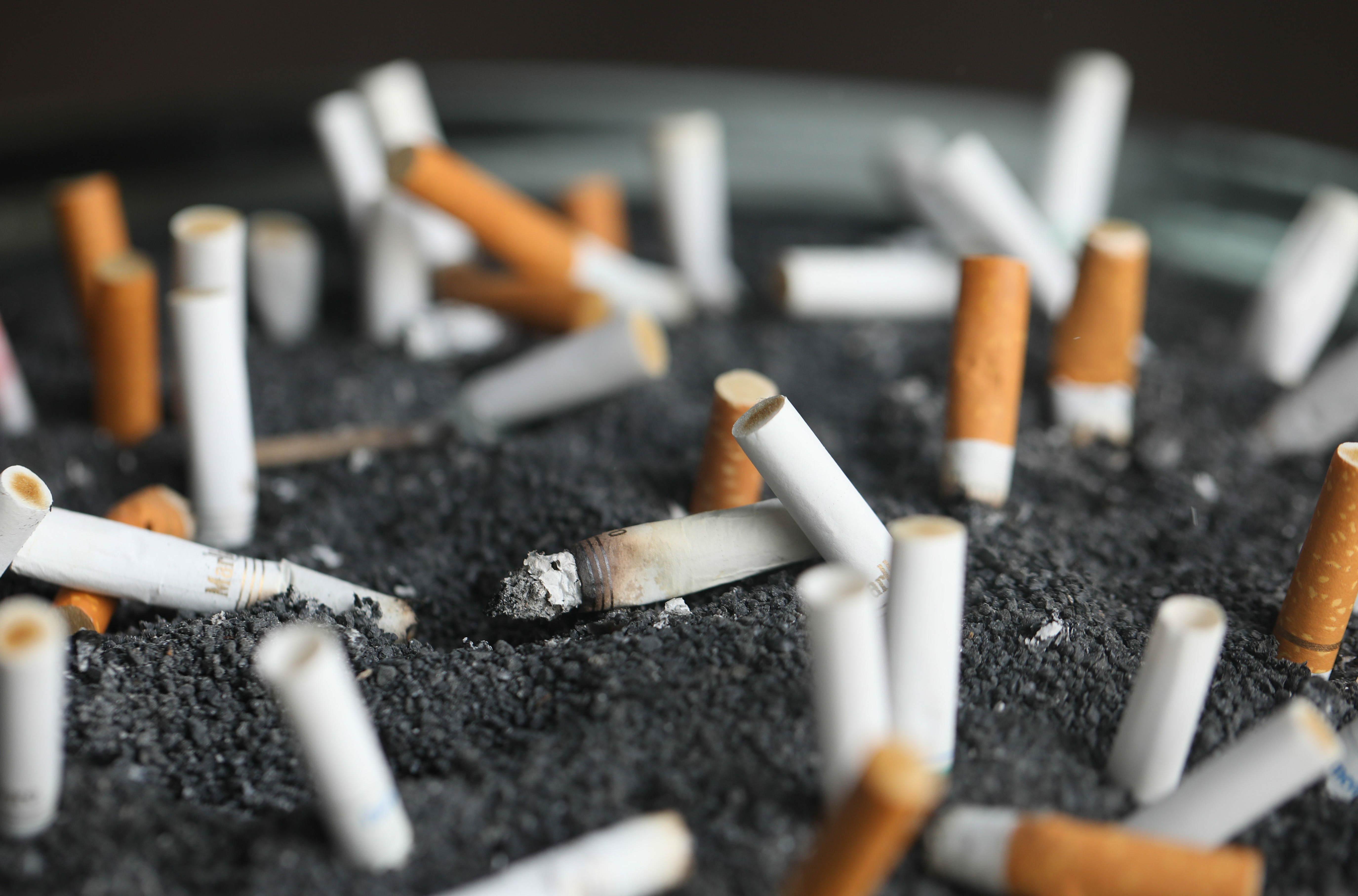 Day set for new look at tobacco