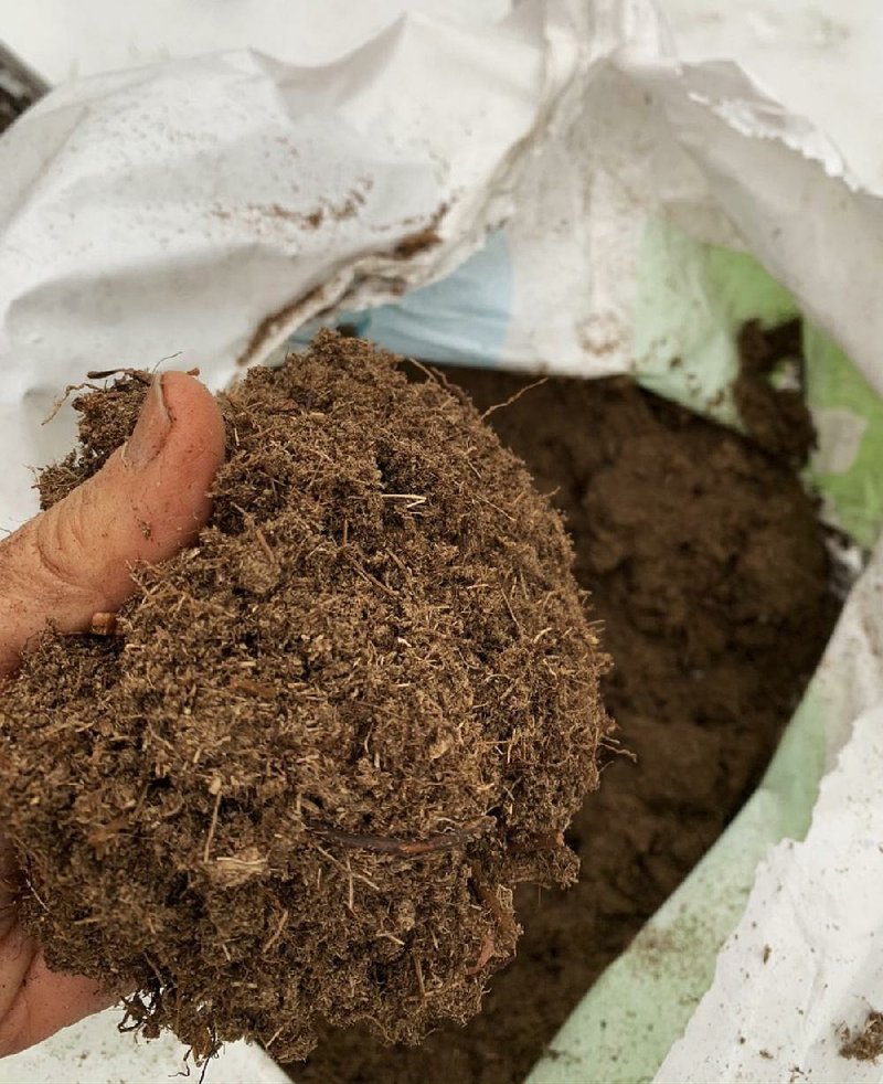 How Much Peat Moss To Add To Sandy Soil - Amending Clay Soil With Peat Moss