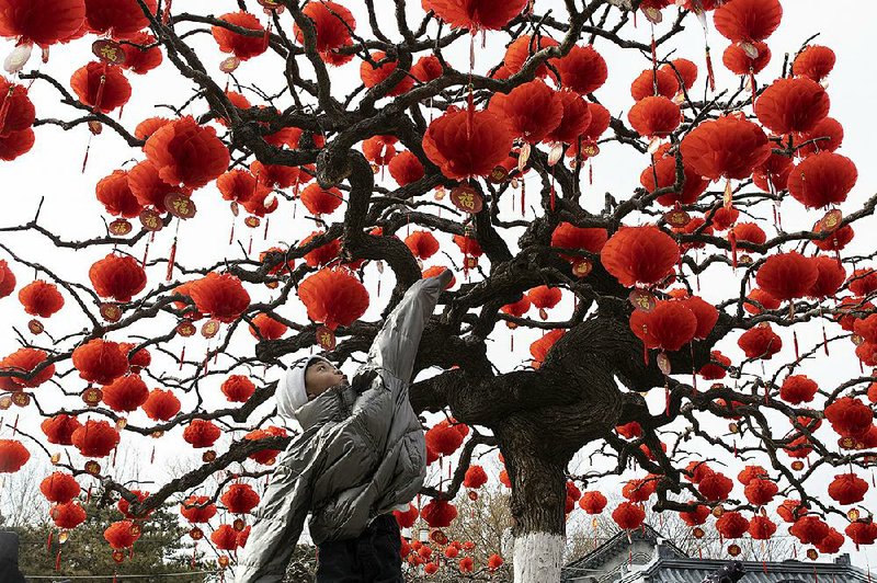 A child jumps to touch lanterns hung in a tree Thursday ahead of Chinese Lunar New Year celebrations in Beijing. Millions of Chinese people will travel to their hometowns to celebrate the Lunar New Year on Jan. 25. This year is the Year of the Rat on the Chinese zodiac.  