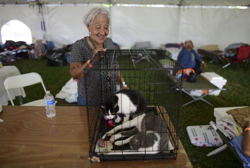 Ana Padro, a resident of Guanica, talks to her two cats staying with her in a tent city housing hundreds of people displaced by earthquakes in Guanica, Puerto Rico, Tuesday, Jan. 14, 2020. A 6.4 magnitude quake that toppled or damaged hundreds of homes in southwestern Puerto Rico is raising concerns about where displaced families will live, while the island still struggles to rebuild from Hurricane Maria two years ago. (AP Photo/Carlos Giusti)