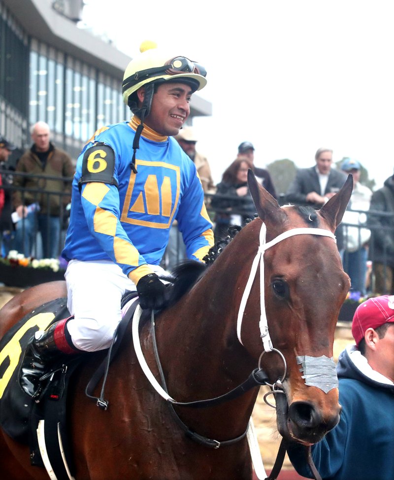 Jockey Martin Garcia smiles aboard Gold Street while the pair are led to the winner's circle after winning the Smarty Jones Stakes at Oaklawn Racing Casino Resort Friday. - Photo by Richard Rasmussen of The Sentinel-Record