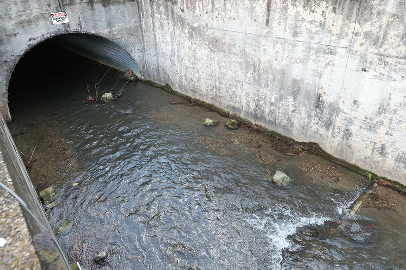 Whittington Creek flows through the entrance of its tunnel system Friday. The detention system proposed for the creek's watershed would include a wider and deeper entrance. - Photo by Richard Rasmussen of The Sentinel-Record