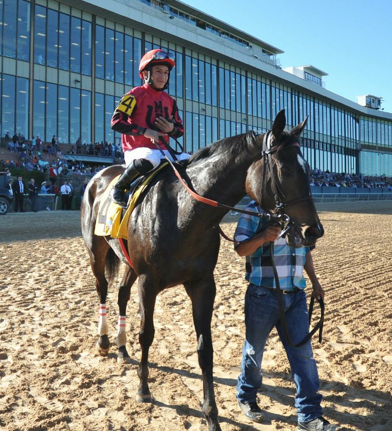 In this 2016 file photo Jockey Walter De La Cruz rides horse Seeking Angels (4) to the winner's circle after winning the Rainbow Miss Stakes at Oaklawn Park.
(The Sentinel-Record/Mara Kuhn )