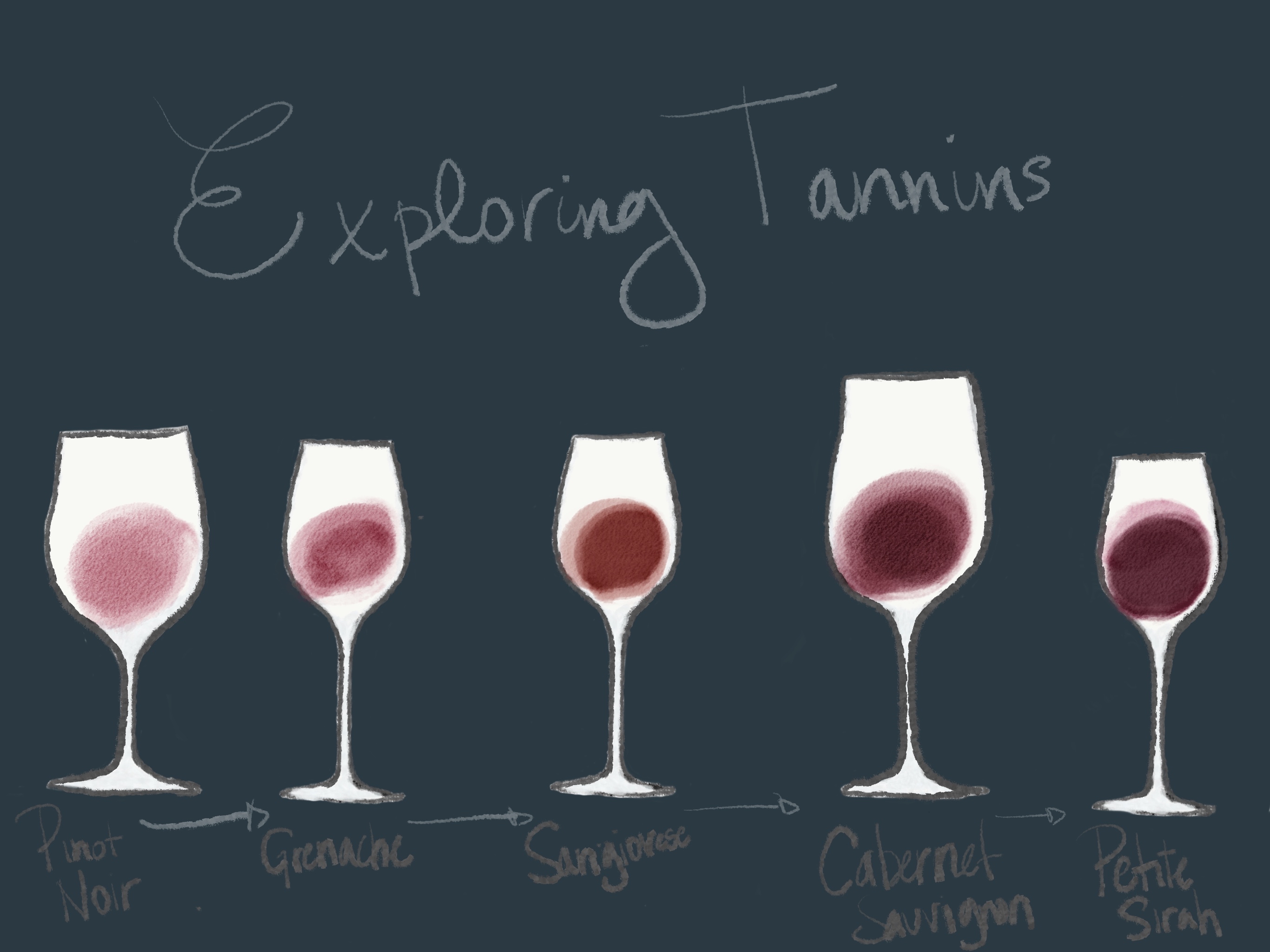 wine knowledge