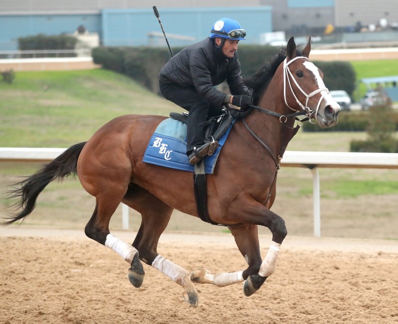 Exercise rider Esbin Bargas gallops the Brad Cox-trained Taraz around the track at Oaklawn Racing Casino Resort Thursday. The undeafeated 3-year-old filly is scheduled to run today in the Martha Washington Stakes. - Photo by Richard Rasmussen of The Sentinel-Record