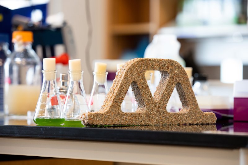 Bacteria created the concrete in this arch, photographed in Wil Srubar's lab at the University of Colorado, Boulder. (The New York Times/CU Boulder College of Engineering &amp; Applied Science)