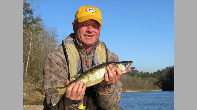Starting in mid-February, walleyes begin spawning in many Arkansas rivers, making them fairly accessible for anglers in moving water.
(Arkansas Democrat-Gazette/Bryan Hendricks)