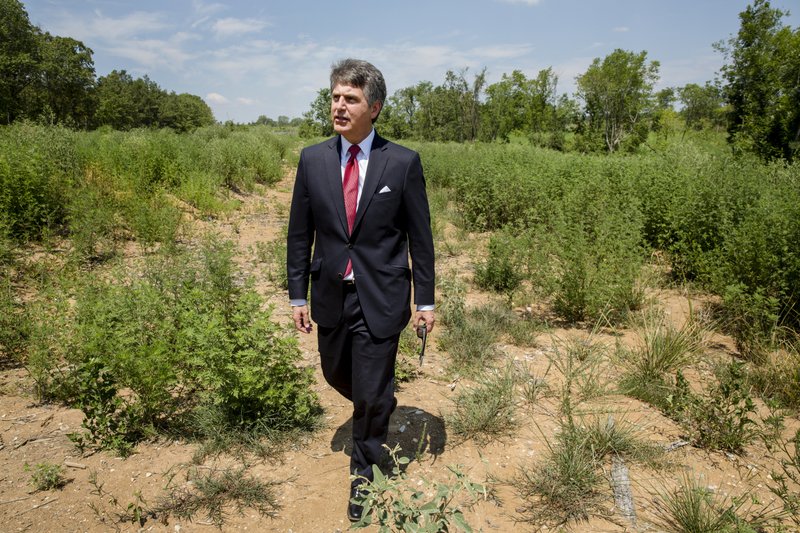 FILE - In this July 25, 2018 file photo, Stephen Bell, president and CEO of the Arkadelphia Regional Economic Development Alliance, shows parts of the 1000-acre site that he hoped would be a $1.8 billion Chinese paper mill in Arkadelphia, Ark. On Monday, Feb. 10, 2020, it was reported that Arkadelphia plans to pitch the site to other industrial prospects amid growing signs that the mill project's future is at risk because of trade tensions. (AP Photo/Karen E. Segrave, File)